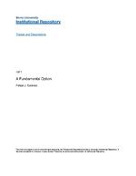 Fundamental option